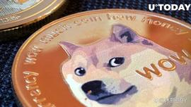 Robinhood 钱包中持有四分之一的 DOGE 供应量——数百亿狗狗币_WIT:Bitwires