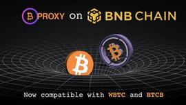 BTC 代理在 BNB 链上运行并可与 WBTC 和 BTCB 互操作_BTC:Rio DeFi