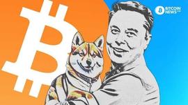 狗狗币的经济学以及为什么它是一个危险的注_狗狗币:OIN