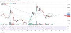 鲸鱼3天增持3787.4亿柴犬，是逢低买入的好时机？_OVO:BTC