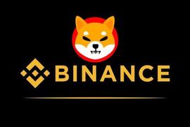 Binance 对 Shiba Inu 的评级很高，准备将 SHIB 从创新区中移除_NAN:JustCarbon Governance