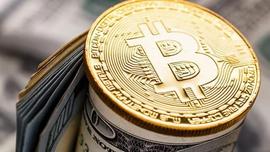 现在有一个使用 Ordinals 协议的比特币美元支持的稳定币_MSN:SAFEORBIT
