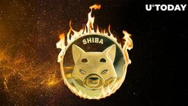 超过 800 万个 Shiba Inu 代币随着 Meme 硬币的喘息而被烧毁_SHI:shibl币最新消息