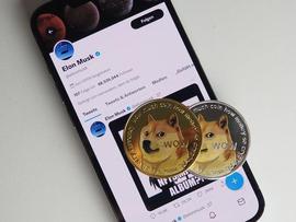DigiToads预售中筹集了 245 万美元后成为狗狗币 的强大竞争对手_TOAD:DIG