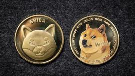 最大推动者：DOGE、SHIB 合并开始本周_DOG:AI DogeMini