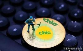 数字货币挖矿科普:什么是 Chia奇亚币？