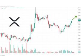 XRP 在最新的法庭案件中升至 1 美元！_XRP:PPL