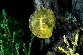 加密货币和零工经济对自由职业者和独立承包商的产生的影响！_PAR:以太坊