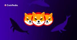 柴犬队长草间志俊表示还有很多事情要做_SHI:SHIBA