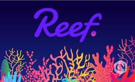 Reef 分享第二季度的成就_FCH:REEF