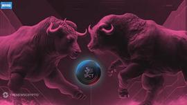 ETC、AXS、SPCT中哪一个将占据领先地位？_INFI:INFINITY价格