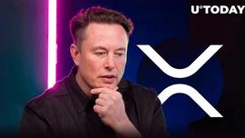 XRP 大军对埃隆·马斯克的新推文感到满意！_NFT:DAGO价格