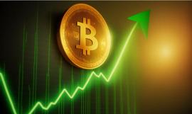 下一次加密浪潮：高盛前高管预见市场快速增长_HODL:pala币汇率