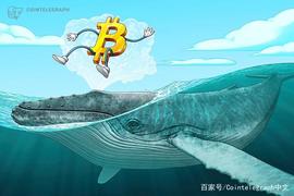 数据显示：自圣诞节以来，比特币鲸鱼的购买力度加大_ANT:gcoin币多少钱一个