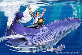 鲸鱼在主流交易所抛售导致比特币价格跌至8900美元_GEM:gemini直播看战至巅峰是哪一天