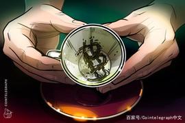 Glassnode首席技术官：6个链上指标“疯狂看涨”比特币但不可全信_比特币价格:MY IDENTITY COIN
