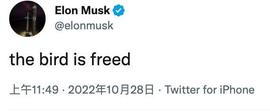 40页聊天记录曝光揭秘马斯克的理想化推特_ACK:JACKR币
