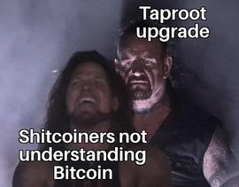 BTCFi是突破还是泡沫_TRA:CEN