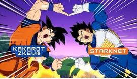 Kakarot zkEVM是什么？为何得到Vitalik参投_ROT:StarkNet