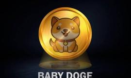 Baby Doge 团队暗示秘密人工智能项目，代币上涨 3%_区块链:人工智能币哪个好