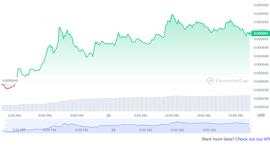 FLOKI 价格飙升 30%；发生了什么？_LOKI:RINU价格