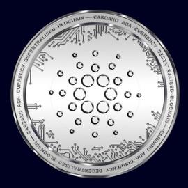 卡尔达诺 (ADA) 经历鲸鱼活动增加_加密货币:AES币