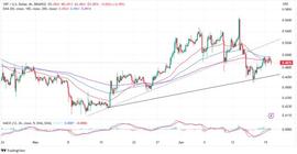 XRP 价格低于 0.5 美元：尽管价格低迷，是时候增持 XRP 了吗？_INM:NMA