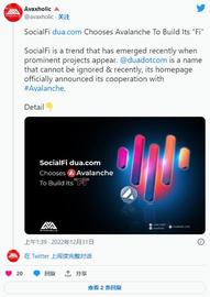 Avalanche 以 10% 跌幅退出2022年——AVAX 本周会弥补这一损失？_DEF:CROS