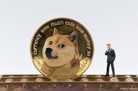 狗狗币 (DOGE) 成为 BitPay 上第四大最受欢迎的加密货币_TER:DOG