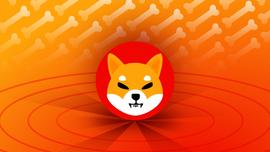 SHIB 销毁率在价格暴跌中飙升 260%；下一步是什么？_MEM:REDSHIBA币