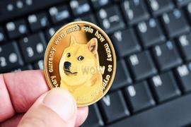 Dogecoin 价格能否在市场不确定性中继续复苏？_ECO:DRDOGE