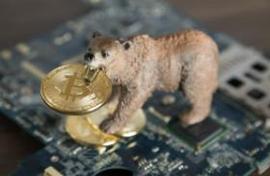 在比特币熊市期间做什么？– 你应该知道的 5 件事_TIC:TIC币