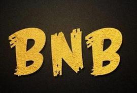 币安将在 BNB 智能链 (BSC) 上销毁价值 20 亿美元的闲置 BUSD_ANC:BSC