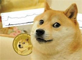 Crypto 的顶级 Meme 硬币是怎么回事？今年能到哪？_BIG:SAFESHIB币