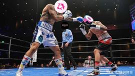 DEX冠军大战：Uniswap VS Sushiswap_HISWAP:代币化