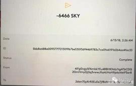 Skycoin抢劫案惊天反转，究竟谁是狼人？_OIN:BullDog Coin