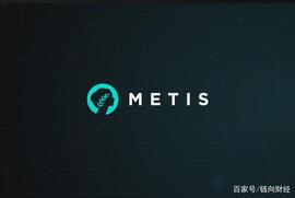 高度可扩展的MetisDAO：借助Layer2的翅膀，助力Web 3.0经济腾飞_DAO:ETI