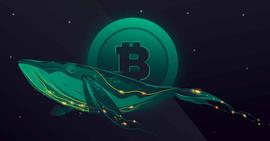 1.3 亿 XRP 转移到 Bitso，比特币见证超过 17000 BTC 大规模移动_加密货币:coinbase可以在哪些国家使用