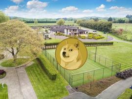 有多少狗狗(DOGE)币投资者获利？_DOG:狗狗币