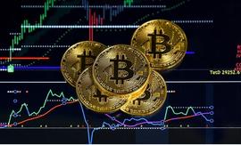 比特币家族将 100 万美元的 BTC 转移到去中心化交易所_中心化交易所:加密货币局话术