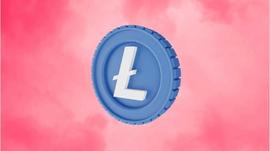 墙上的镜子，谁在危机中涌动？– 莱特币在Toppers榜单中_LTC:ltc币的前景怎么样
