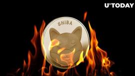 SHIB 燃烧率回升 64%，原因如下_SHIBA:gari币最新价格