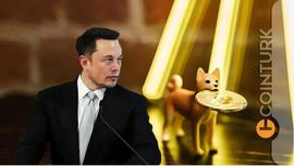 Elon Musk 和 Dogecoin 创始人是否在等待这前五名山寨币的崩盘？_ETH:TET