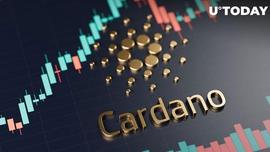 大玩家购买了 2.172 亿个 Cardano 代币，ADA 在一周内上涨了 10%_DAN:CARD