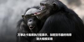 万事达卡首席执行官表示，加密货币最终将得到大规模采用_GAT:gate.io怎么提现人民币