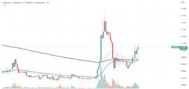 狗狗币DOGE令加密投资者大吃一惊！_DOGE:COI
