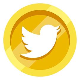 再见比特币、狗狗币！马斯克新宠现身Twitter Coin即将推出？_TWI:WIT