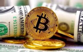 Finder 小组预测比特币到年底将增长 11%_BTC:FBTC