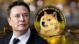 震惊！Elon Musk 最喜欢的狗狗币 (DOGE) 价格在数小时内飙升 10%_DOG:CYBRRRDOGE