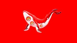 神秘鲸新增3.94万亿柴犬_AIN:SHIB